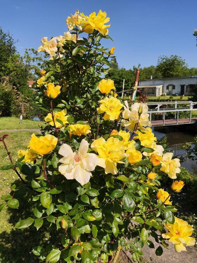 Le Des Hortillonnages Apartment *